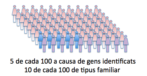 Cat 5 de cada 100