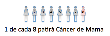 Cat i de cada8