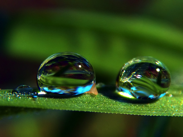 Two drop of water