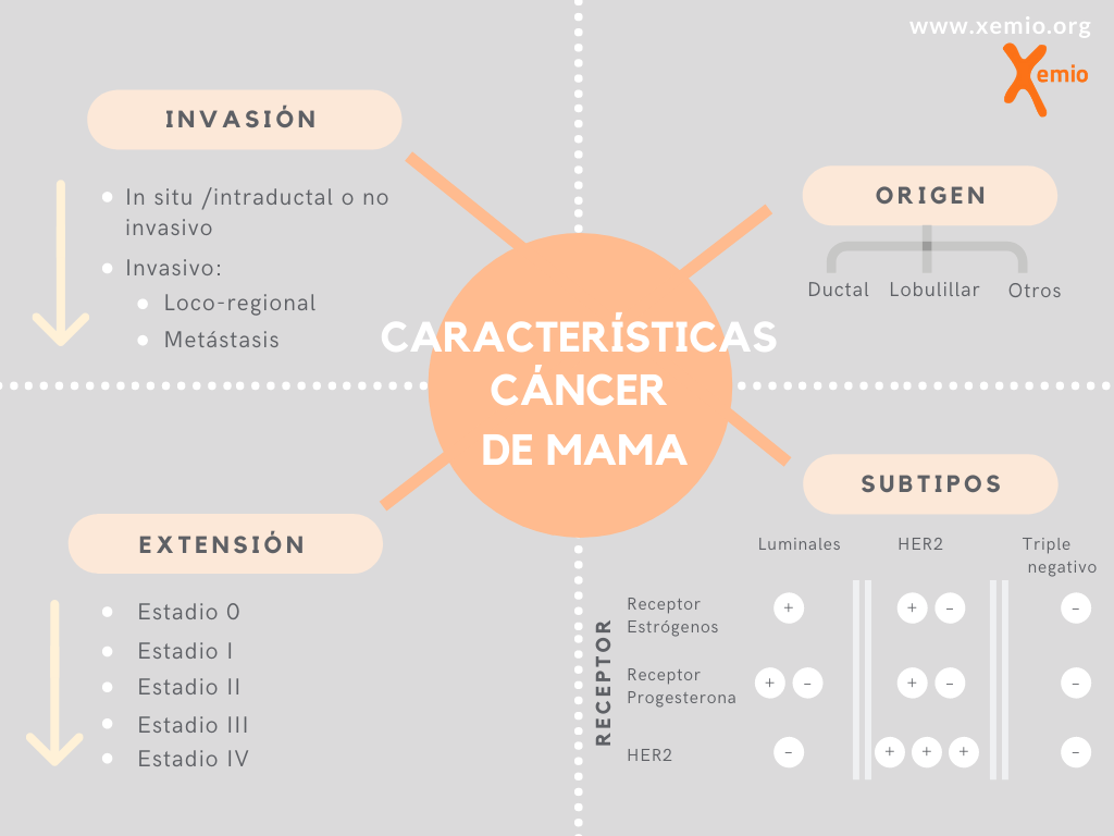 Características cancer mama infografia
