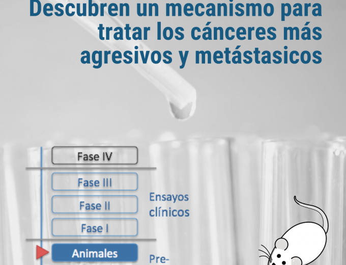 Descubren un mecanismo para tratar los cánceres más agresivos